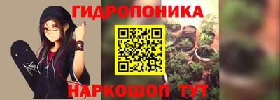 PSILOCYBIN Пушкино