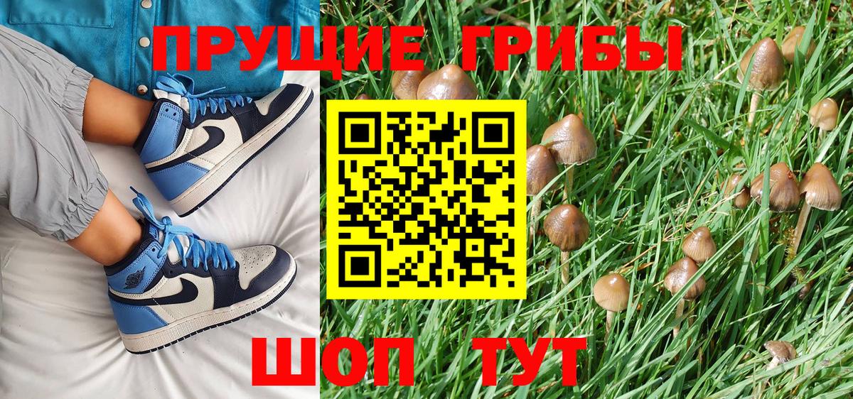 Галлюциногенные грибы MAGIC MUSHROOMS  Псилоцибиновые грибы Magic Shrooms  Тобольск  Вход с VPN 